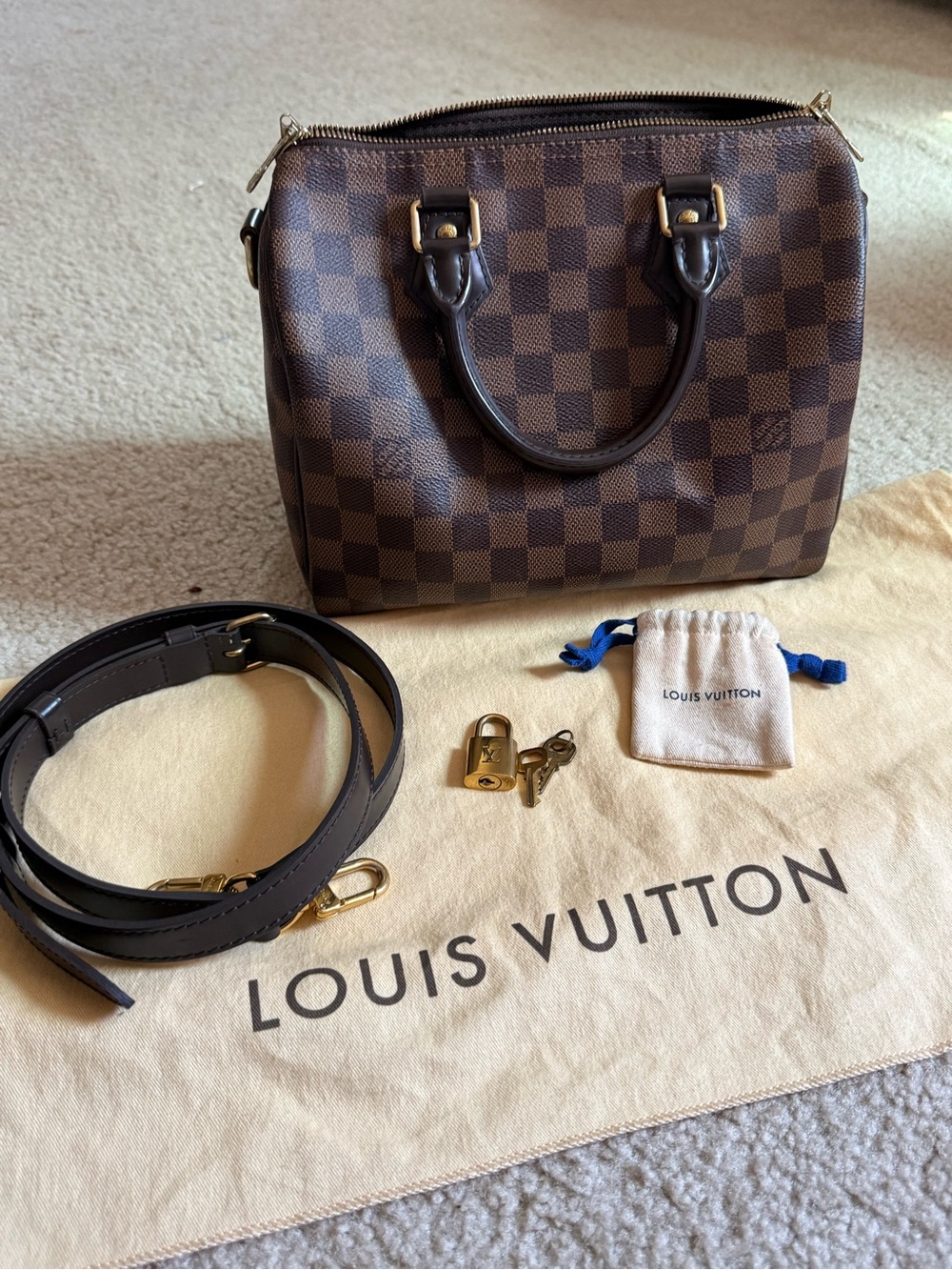 Louis Vuitton Speedy 25 Brown Damier Satchel with Gold-Tone Hardware